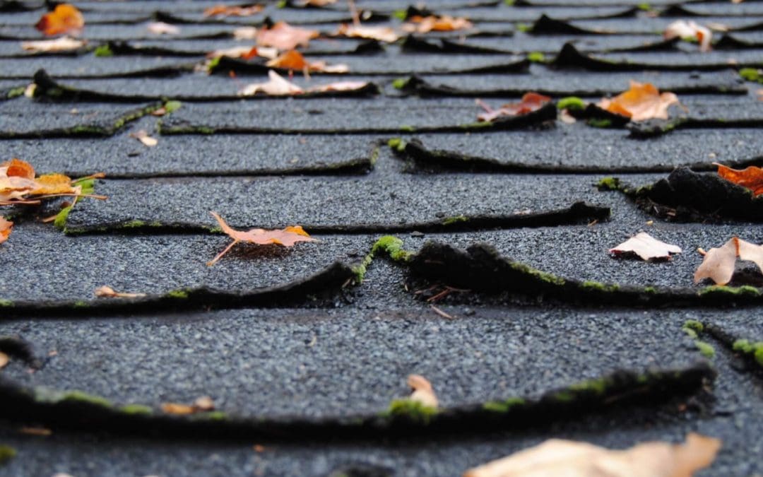 Signs You Need a New Roof