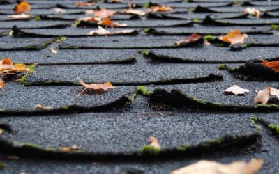 Signs You Need a New Roof