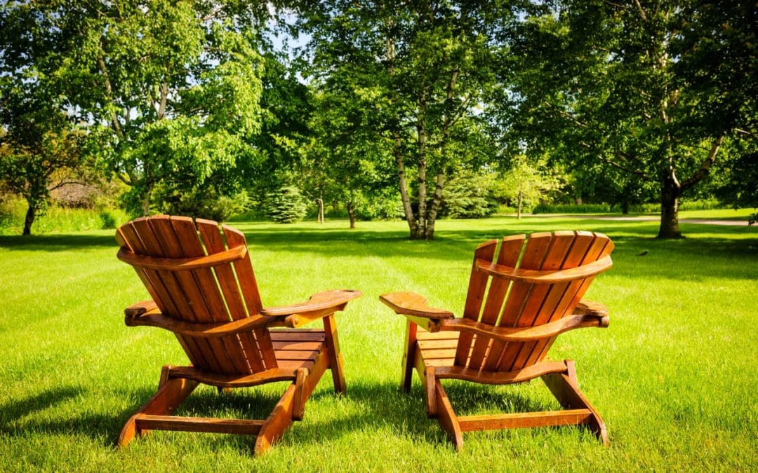 5 Tips to Help You Care for Your Trees