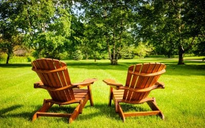 5 Tips to Help You Care for Your Trees