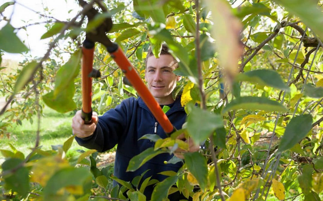 6 Outdoor Home Maintenance Tasks for Summer