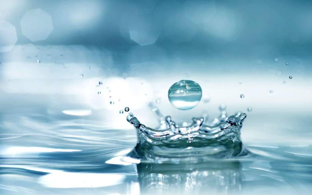 8 Tips to Help You Save Water
