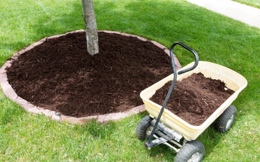 8 Ways to Prepare Your Home for Spring