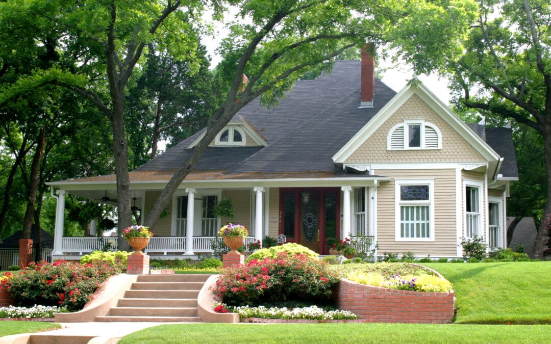 Landscaping on a Budget