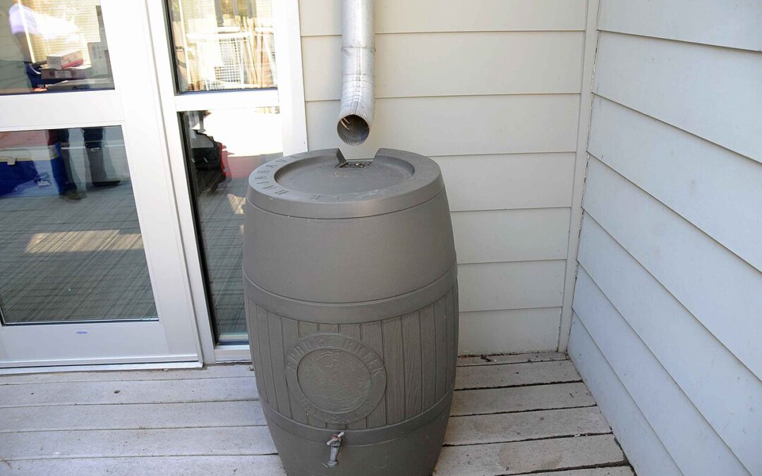 Conserving Water During the Summer