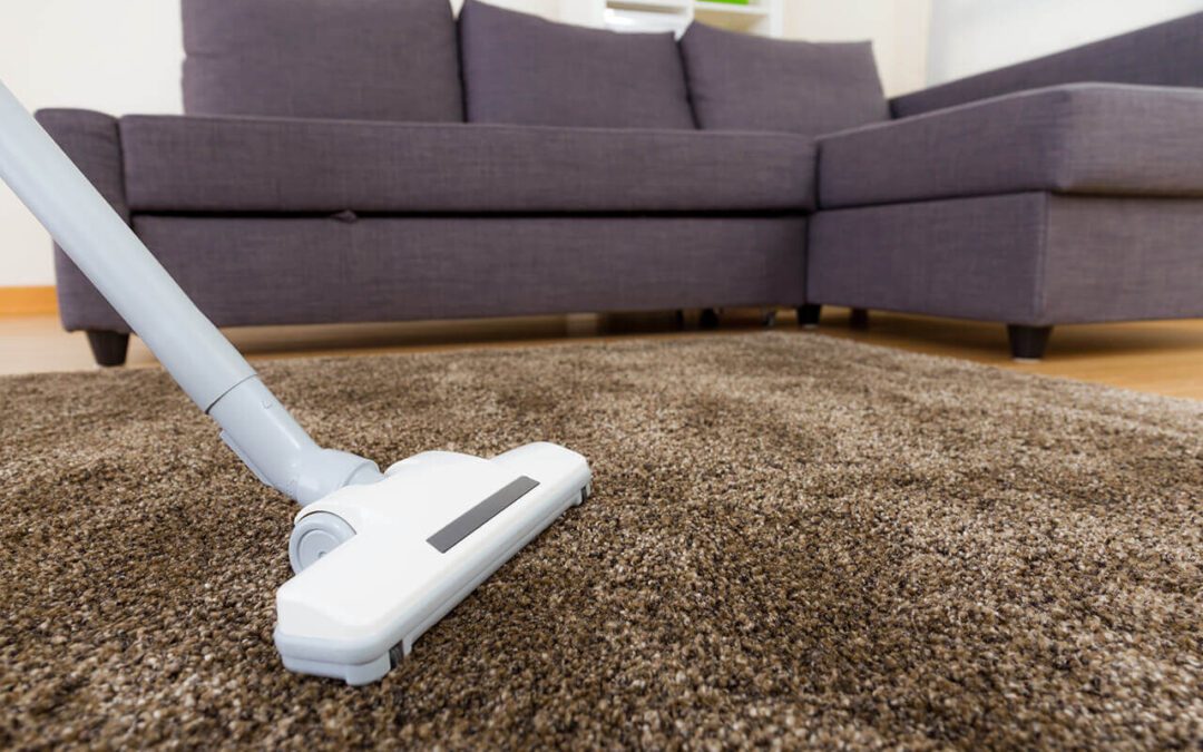 Don’t Let Them Take Over: A Homeowner’s Guide to Dealing With a Flea Infestation