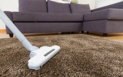 Don’t Let Them Take Over: A Homeowner’s Guide to Dealing With a Flea Infestation